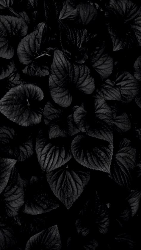 Dark Flowers Wallpapers - Wallpaper Cave