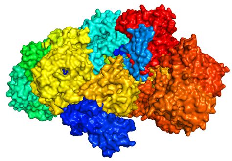 Image result for Structure PyMOL