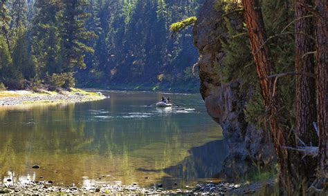 Guided Trips — Lakestream Fly Shop