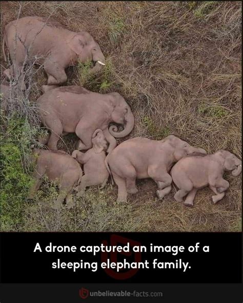 Image result for Unbelievable Topic