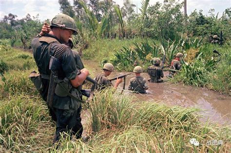越南战争，为什么美国打了20年也没有搞定越南|游击战|越南战争|越南_新浪新闻