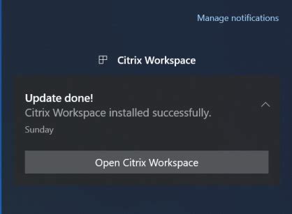 Image result for Citrix Workspace Updater Service