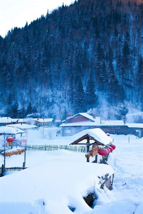 3年前，因“宰客”被骂上热搜的雪乡，现在怎么样了？-旅游先遣队-杭州19楼