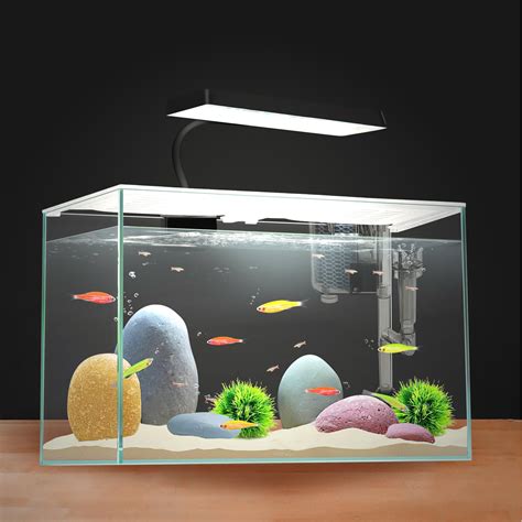 Square Fish Tank