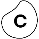 2 salaries at Celonis shared by employees | Glassdoor