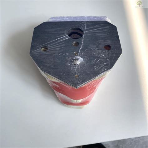 Conduction Anesthesia 的图像结果