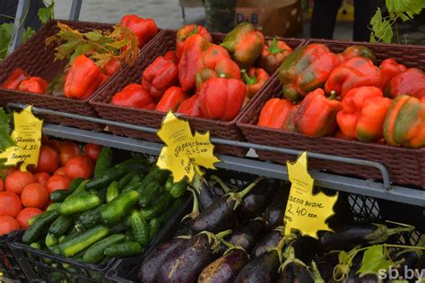 Фотофакт. Сезонная ярмарка по продаже сельскохозяйственной продукции ...