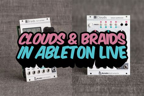 Image result for Mutable Instruments Braids