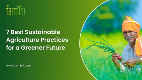 Agriculture Industry 的图像结果