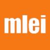 MLEI Consulting Engineers Q&A: How are the career development ...