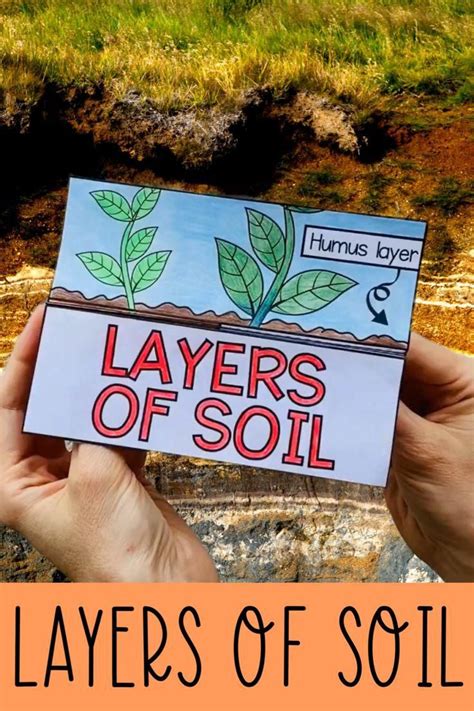 Soil Layers Science Project 的图像结果