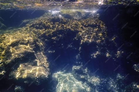 Bottom of the Sea 的图像结果