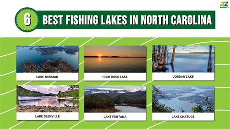 The 6 Best Fishing Lakes in North Carolina (And the Types of Fish to ...