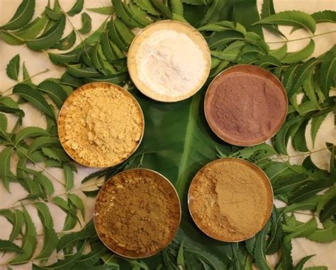 Nasya – An Overview – chakrapaniayurveda