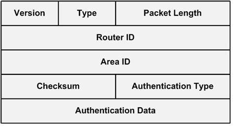Image result for Ospf Header Format Example Step by Step