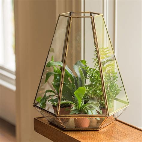 Buy Terrarium with brass base tray: Delivery by Waitrose Garden