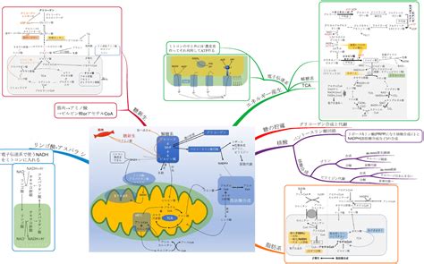 Image result for Secure Hash Algorithm Hint Image