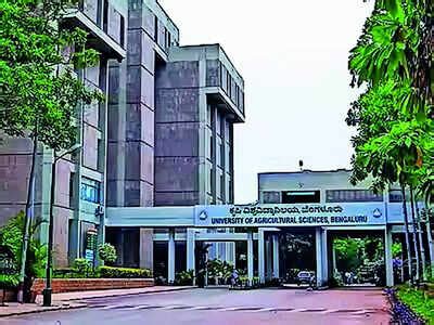 GKVK flower market: Skepticism rises as officials to meet today