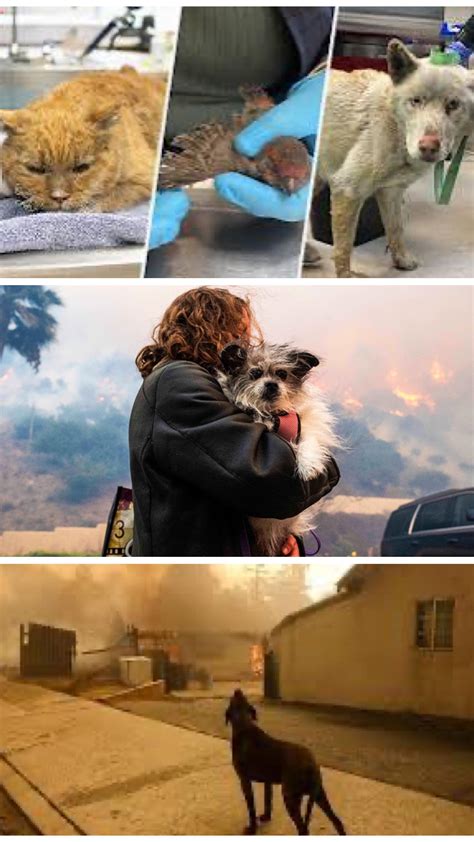 ubae.co® (@ubae.co) • Instagram photos and videos