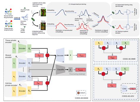 Machine Learning INR 的图像结果