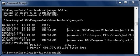 Image result for Oracle Java File