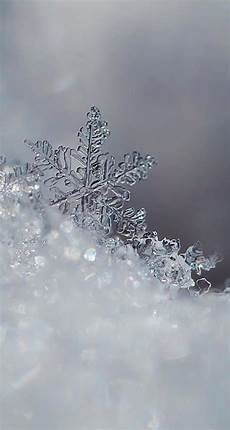 Winter Lock Screen Wallpaper For Iphone by Icy Snowflakes Winter Iphone Android Cellphone Lock Screen Winter Lock Screen Wallpaper For Iphone