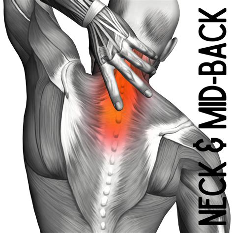 Neck and Mid Back Pain | Chiropractor in Norwalk, CT | Advanced Health Professionals