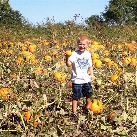 The Cathcarts: Berry Patch Farms