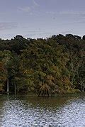 Image result for Stumpy Lake Map