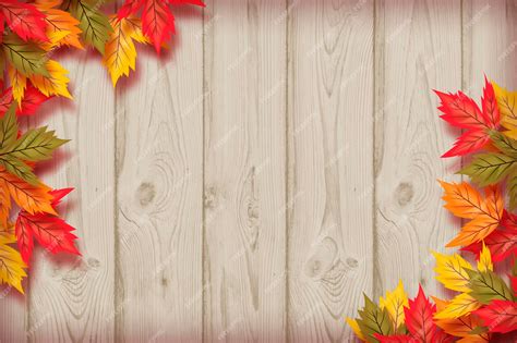 Fall Background Wallpaper Clipart