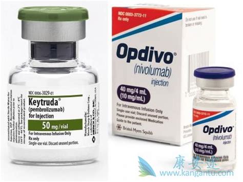 纳武单抗(opdivo)可用于哪些肺癌患者？在中国售价是怎样的？-康安途海外医疗