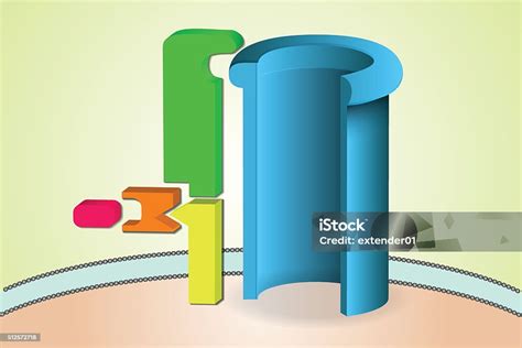 Image result for Complement System Alternative Pathway