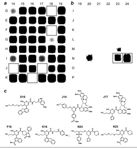 Image result for One Sequence One Bead Tutorials