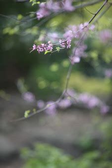 Image result for Simple Animation Program