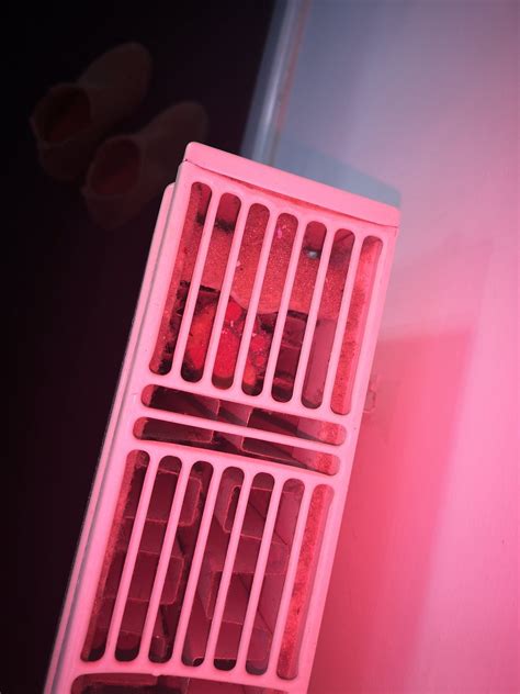 THE HANGING GARDENS OF BABYLON (Cleethorpes) - Hotel Reviews & Photos ...