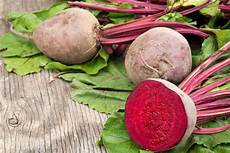 cucinare la barbabietola la barbabietola rossa una fonte di benessere cucinare la barbabietola la barbabietola rossa una fonte di benessere