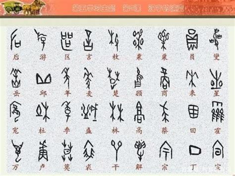 汉字的起源与演变图册_360百科