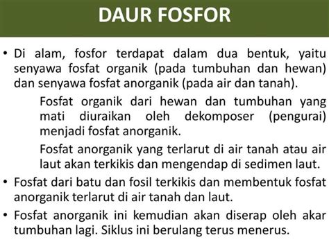 Image result for Spring Box Structure