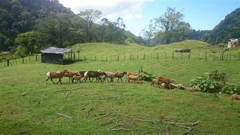 BAJO MONO CAMPING SITE CASCADA EL TATICA (2025) All You Need to Know ...