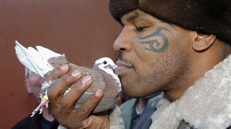 Cocaine carrier pigeons have changed the drug smuggling game | GQ India ...