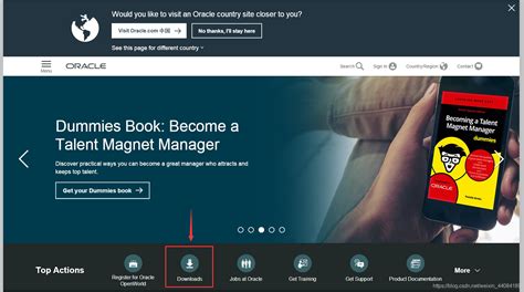Java JDK 1.8 Download 的图像结果