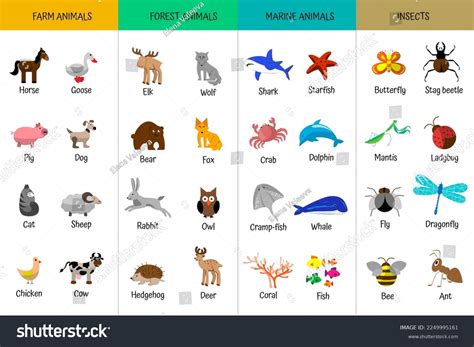 Understanding Basick Animal One: A Simple Guide
