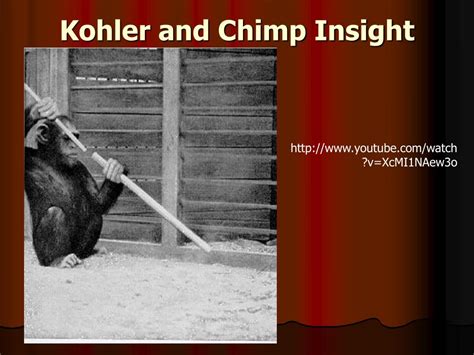 Chimp Problem Solving 的图像结果