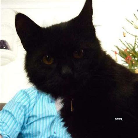 Hilarious & Scary Photobombs Pics | Hilarious & Scary Photobombs Photos ...