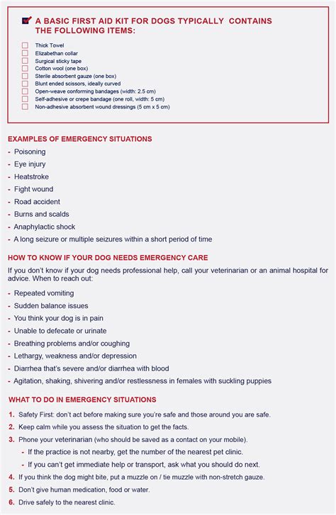 Image result for Basic First Aid for Pets