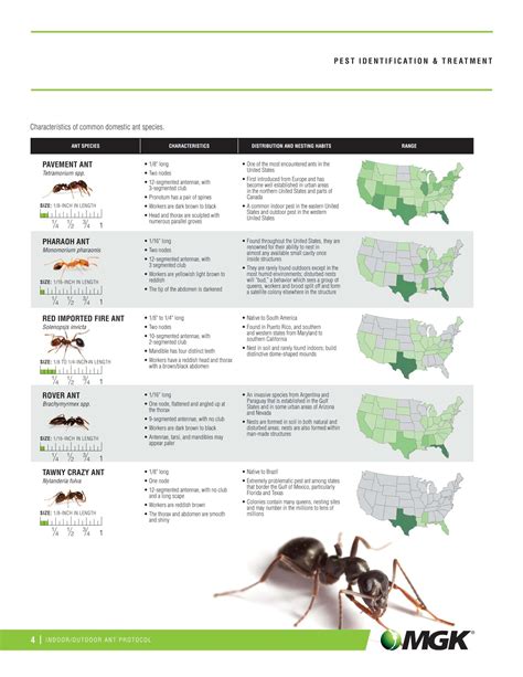 30+ Free Printable Ant Identification Charts [PDF]