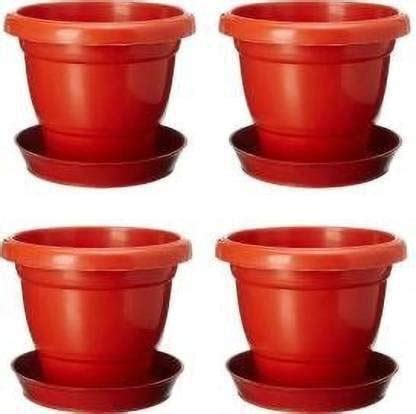 GOD OF GOODS (Pack of 5 with Tray 12 inches Round HighQuality Gardening ...
