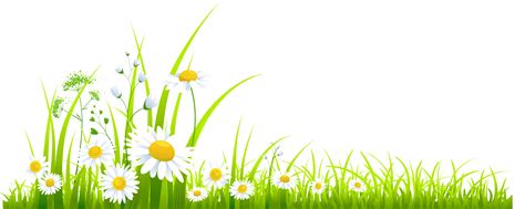 Image result for Spring ClipArt