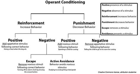 Behaviorism 的图像结果