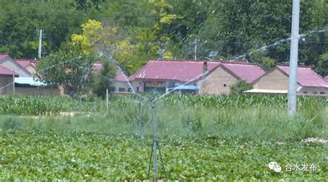 节水灌溉现货销售喷洒灌溉均匀旋转微喷地插微喷倒挂微喷大棚微喷-阿里巴巴